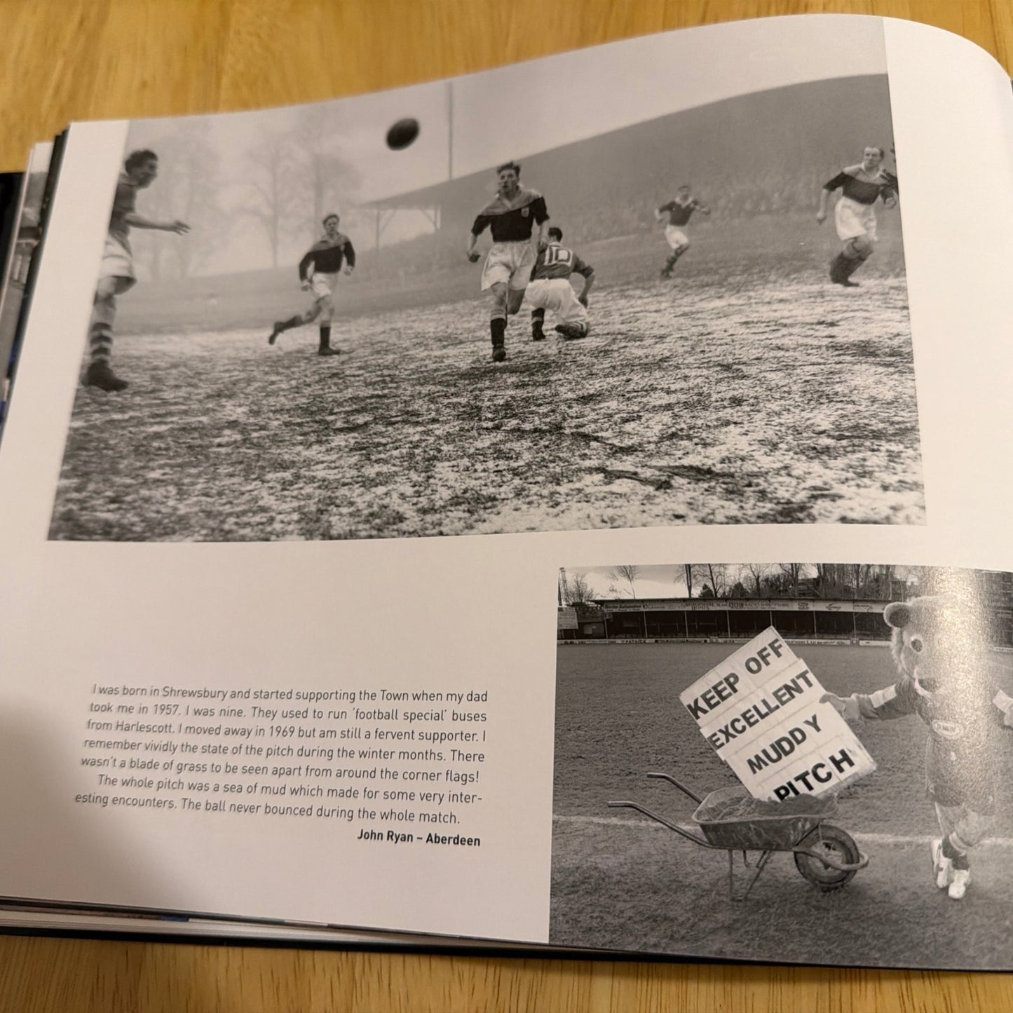 Goodbye Gay Meadow: The Home of Shrewsbury Town Football Club 1910-2007 (Hardback book)