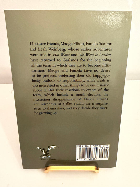 No Responsibility by Joan Butler-Joyce (paperback book)