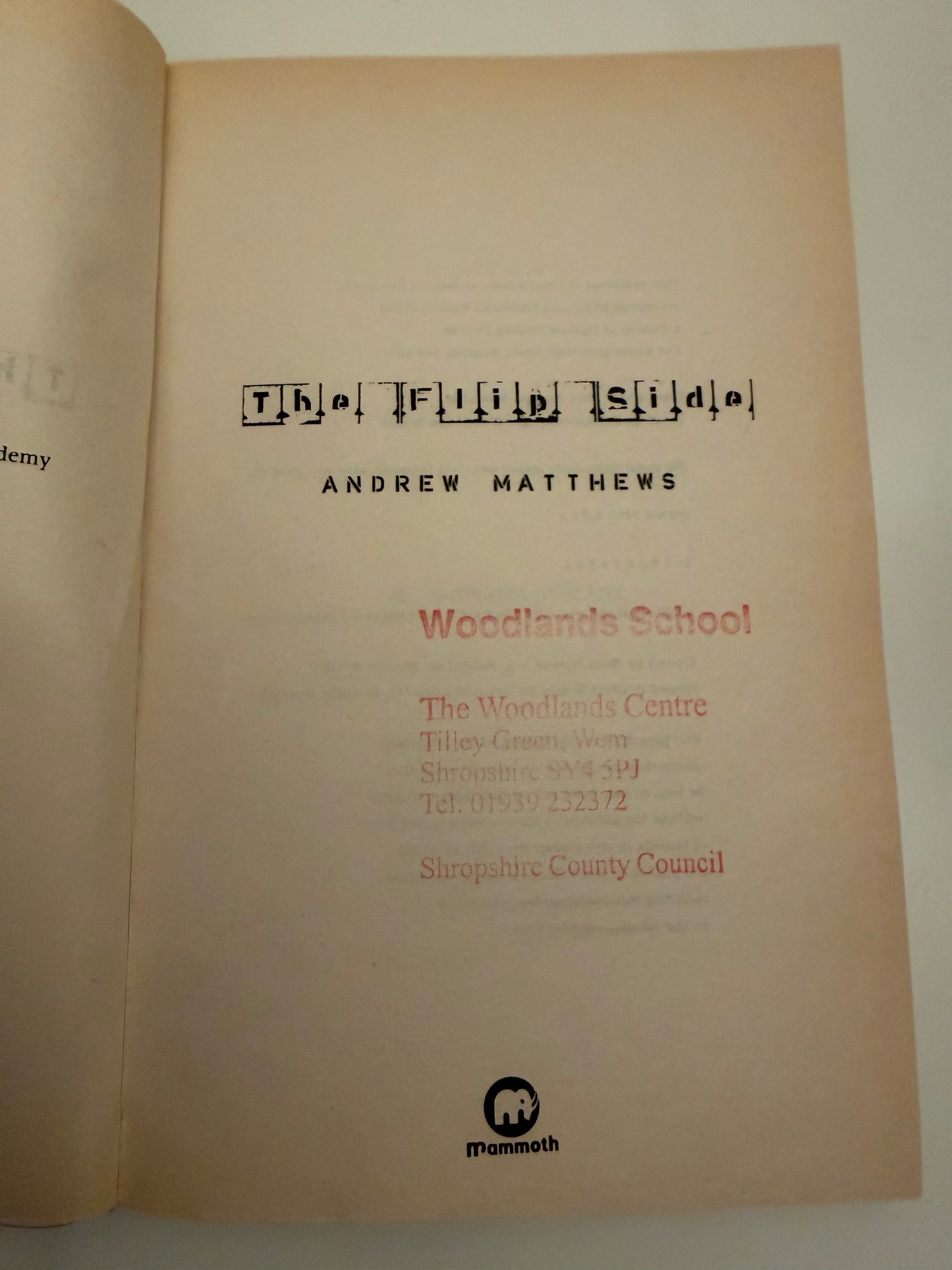The Flip Side by Andrew Matthews (Paperback book)