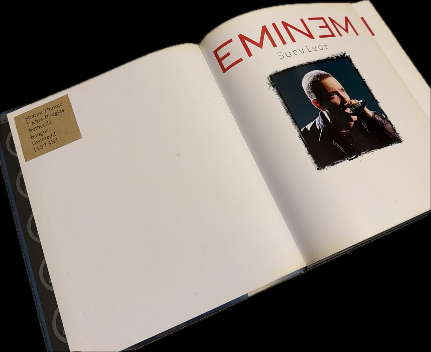 Eminem: Survivor by Michael & Drew Heatley (book)