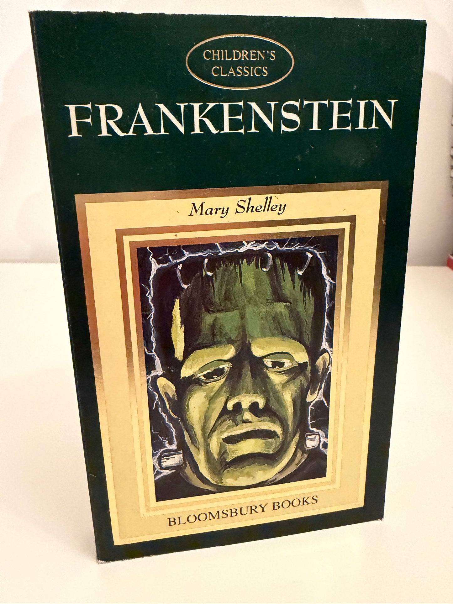 Frankenstein by Mary Shelley (book)