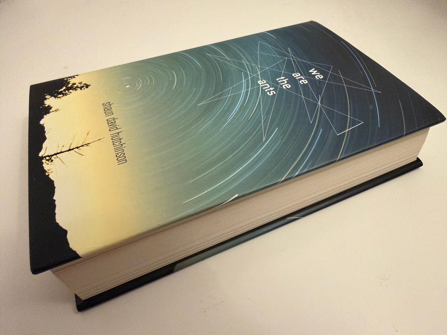 We are the Ants by Shaun Hutchinson (hardback book)