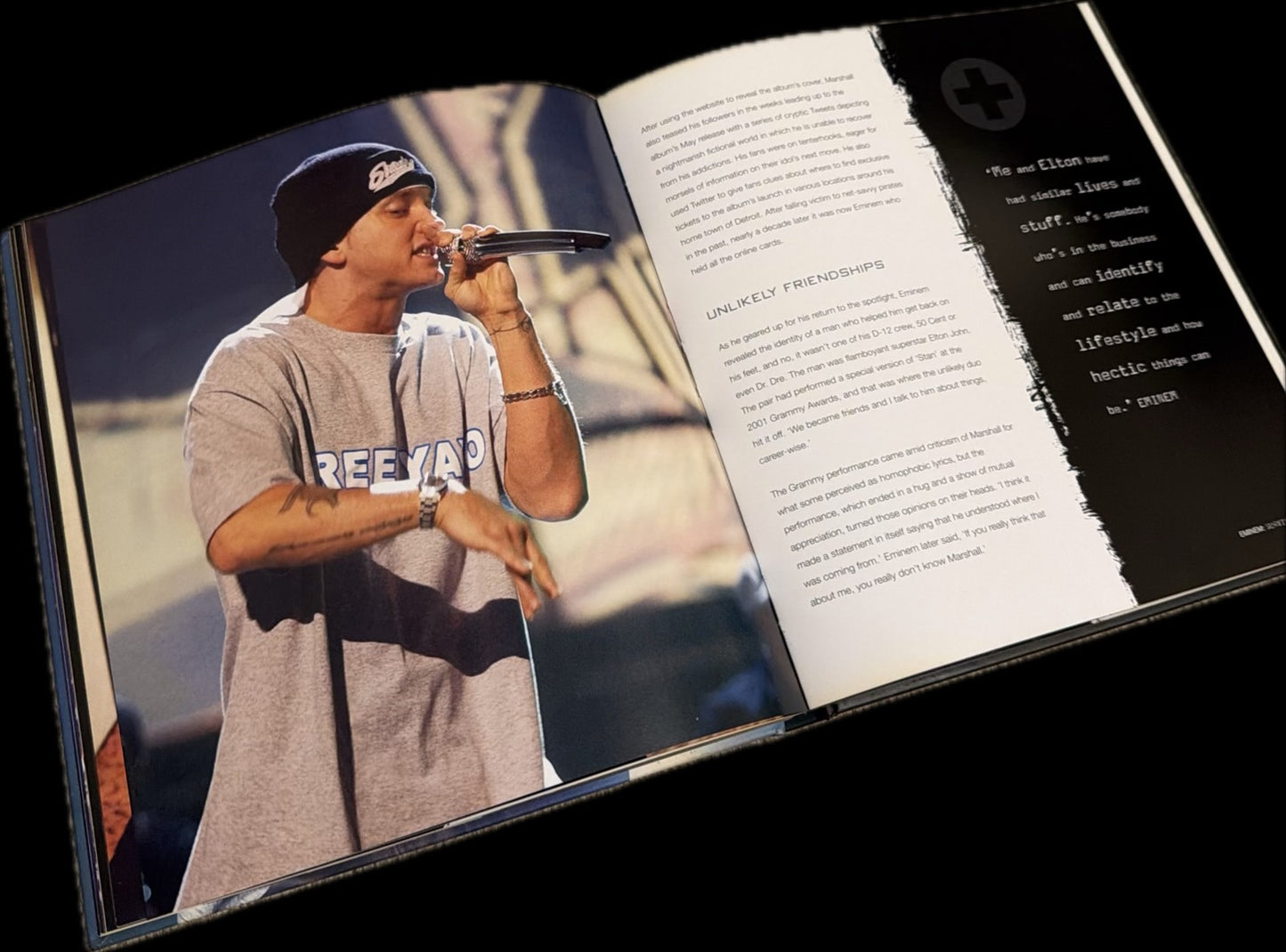 Eminem: Survivor by Michael & Drew Heatley (book)