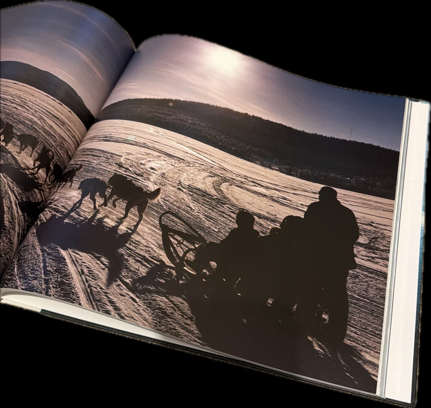 ICE AGE: THE HOTEL AT THE END OF THE WORLD. Karlsson, Svenolof & Fredrick Emden (book)