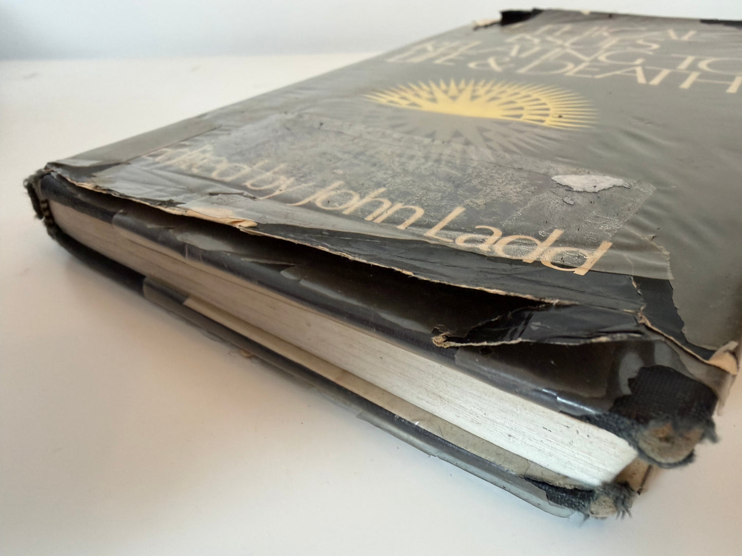 Ethical Issue Relating to Life and Death by John Ladd (hardback book)