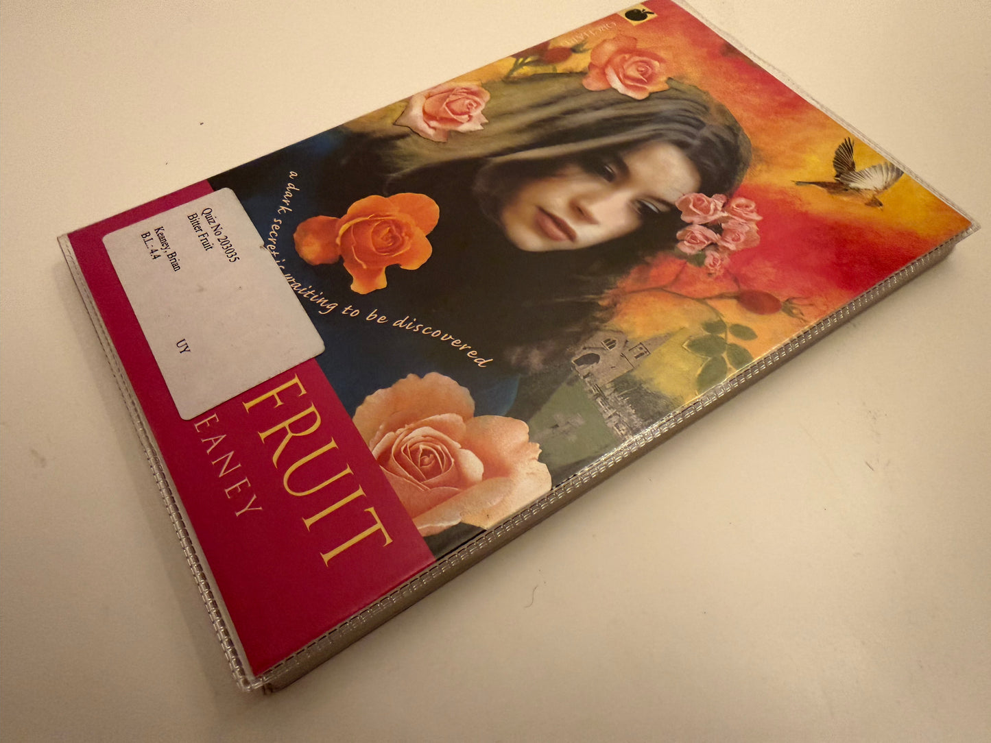 Bitter Fruit by Brian Keaney (paperback book)